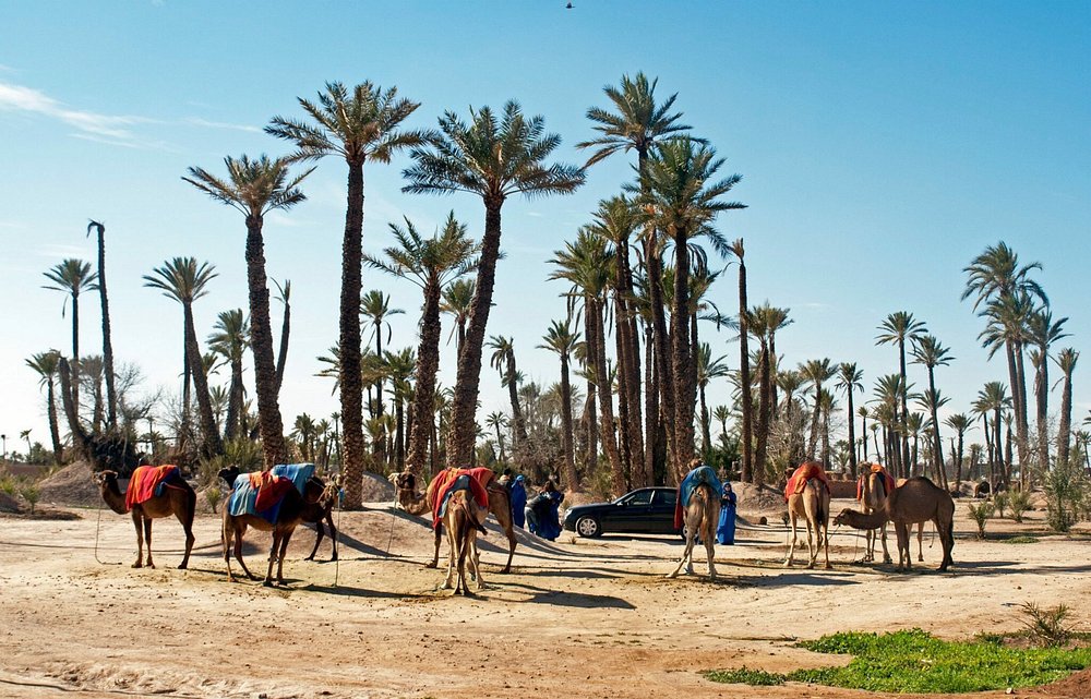 Location voiture Palmeraie Aéroport Marrakech